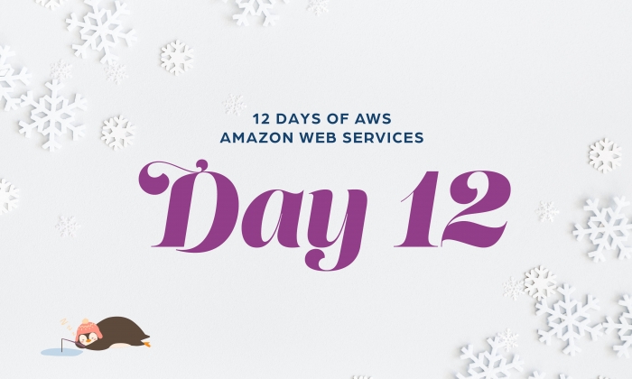 12 Days of AWS Day 12 written around snowflakes with a penguin ice fishing