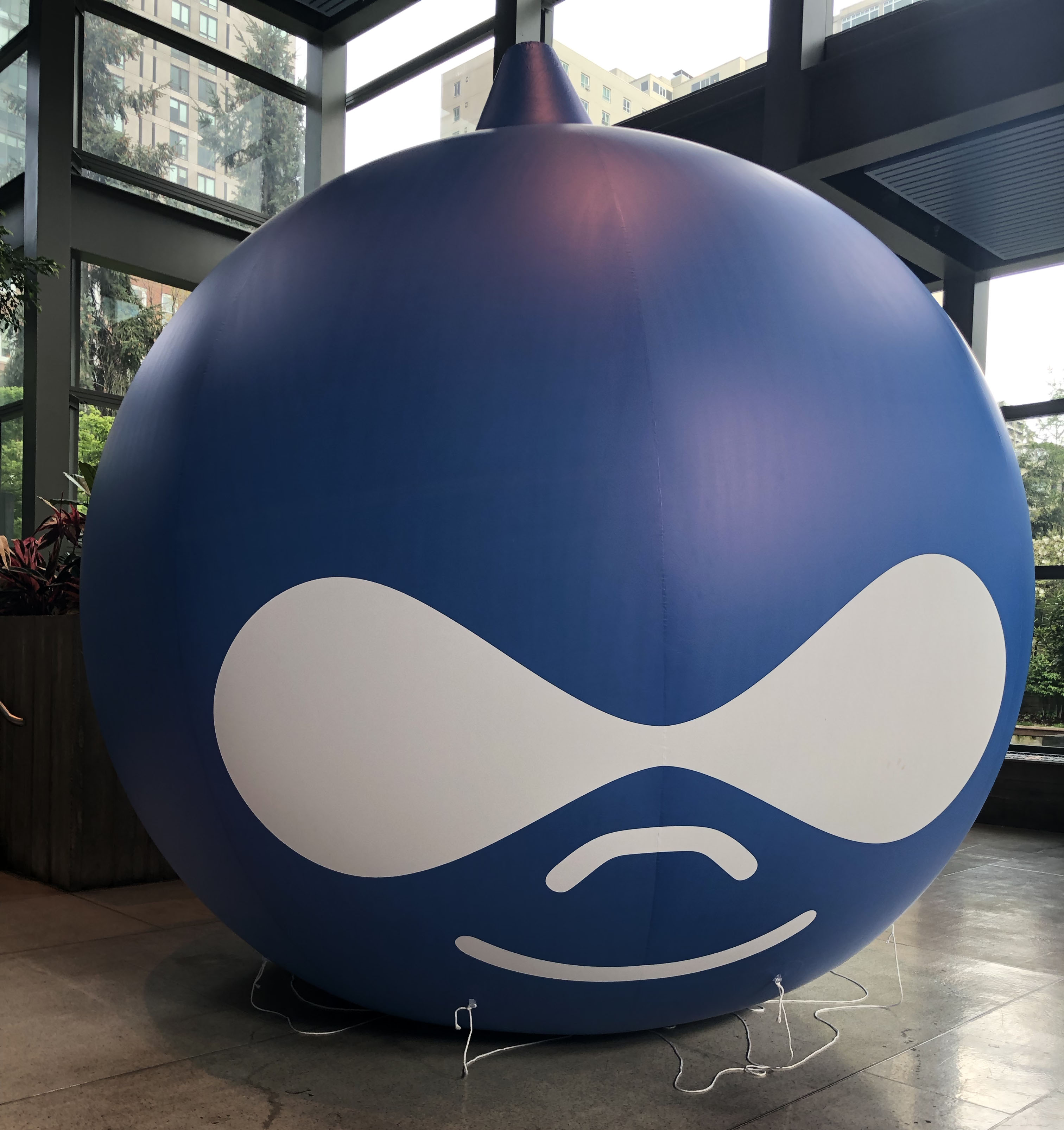 Drupal Dot Inflatable