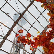 View of space needle from inside chihuly garden