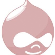 Pink Stanford drupal logo