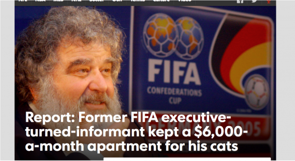 fifa-cat-apartment