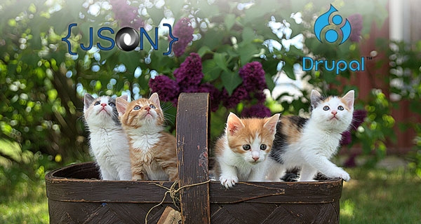 Photo of kittens looking at JSON and Drupal logos